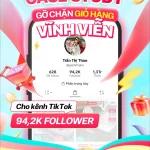 Case Lumie khôi phục giỏ hàng TikTok @giadinhpira khoảng 94,2K người theo dõi
