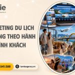marketing-du-lich-da-nang-theo-hanh-trinh-khach