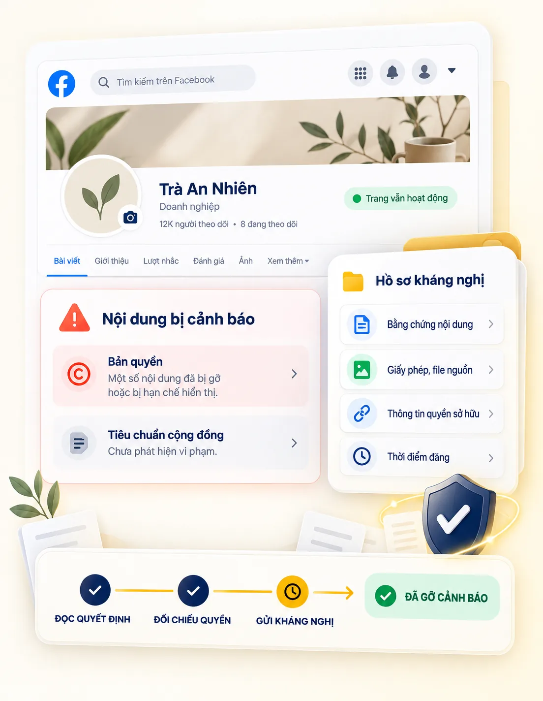 Minh họa hồ sơ kháng nghị cảnh báo bản quyền và vi phạm trên Fanpage Facebook
